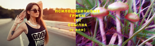 альфа пвп Пестово