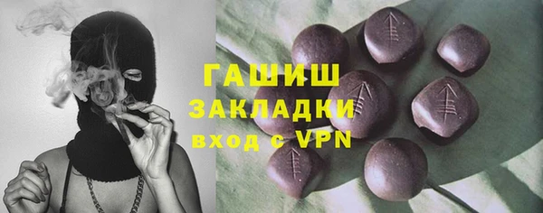 прущие грибы Переславль-Залесский