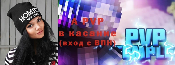 прущие грибы Переславль-Залесский