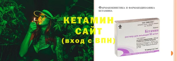 прущие грибы Переславль-Залесский