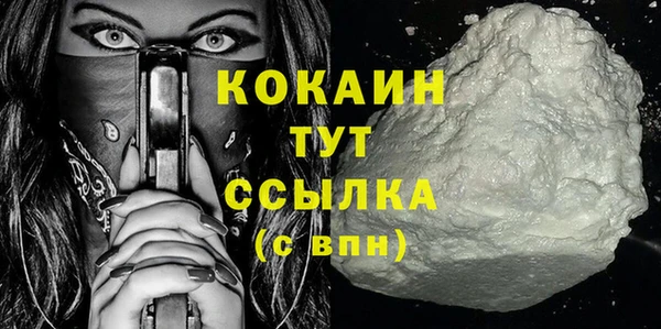 прущие грибы Переславль-Залесский