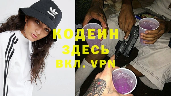 прущие грибы Переславль-Залесский