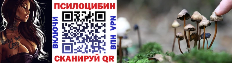 blacksprut как войти  Армянск  Галлюциногенные грибы прущие грибы 